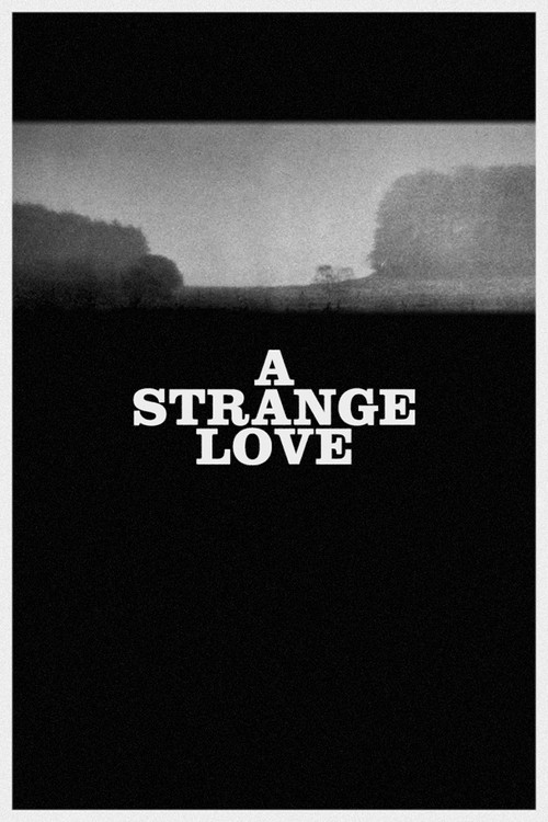 A Strange Love (1968) poster