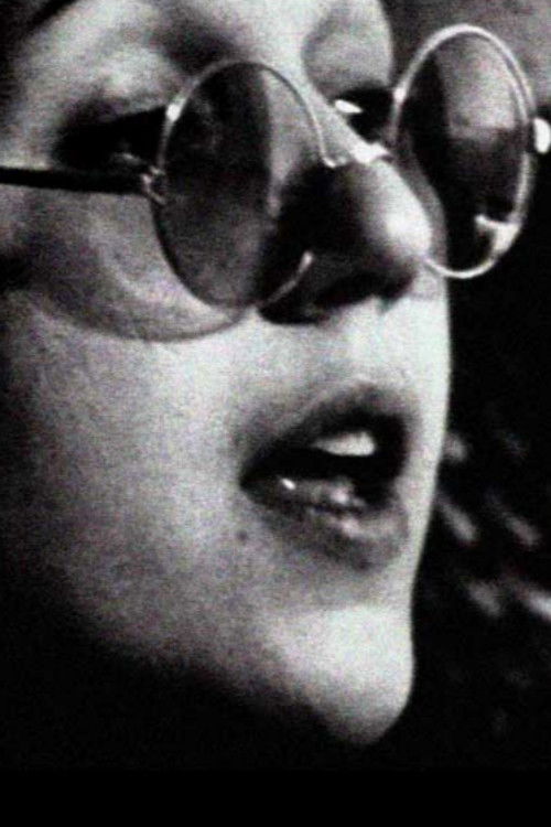 Judy Chicago & the California Girls (2007) poster