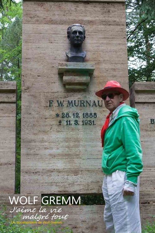 I Love Life Anyway (2015) poster