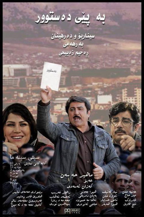 According to the Constitution (2013) poster