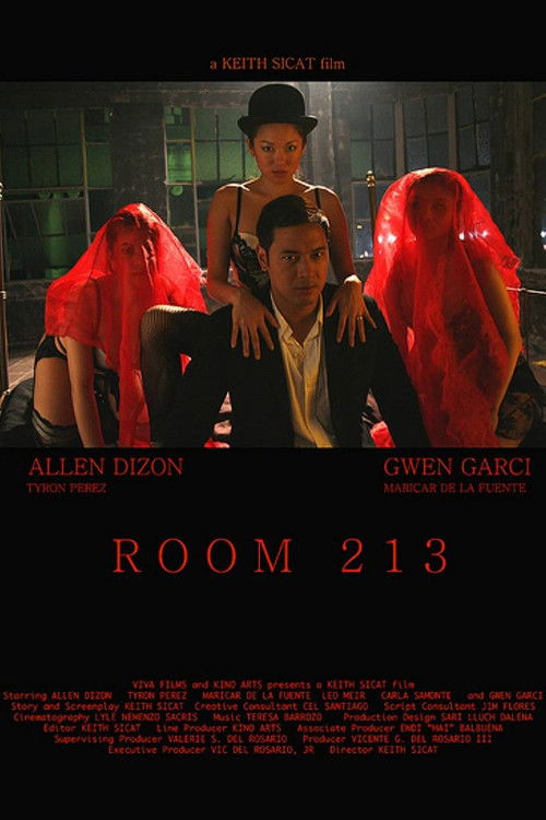 Room 213 (2008) poster