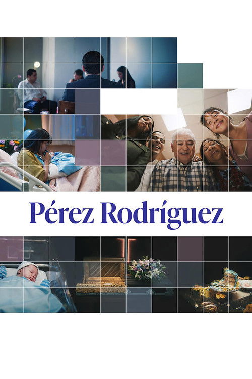 Pérez Rodríguez (2024) poster