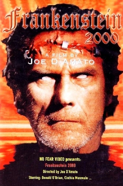 Ritorno dalla morte (1991) poster
