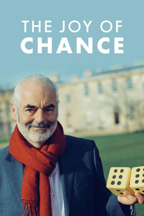 The Joy of Chance (2012) poster