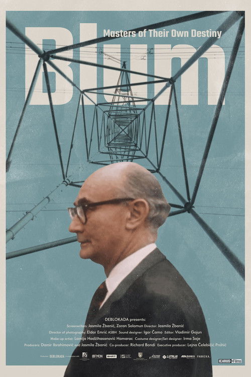 Blum: Gospodari svoje budućnosti (2024) poster