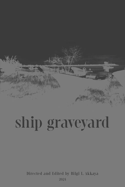 Gemi Mezarlığı (2024) poster