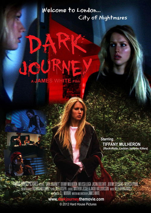 Dark Journey (2012) poster