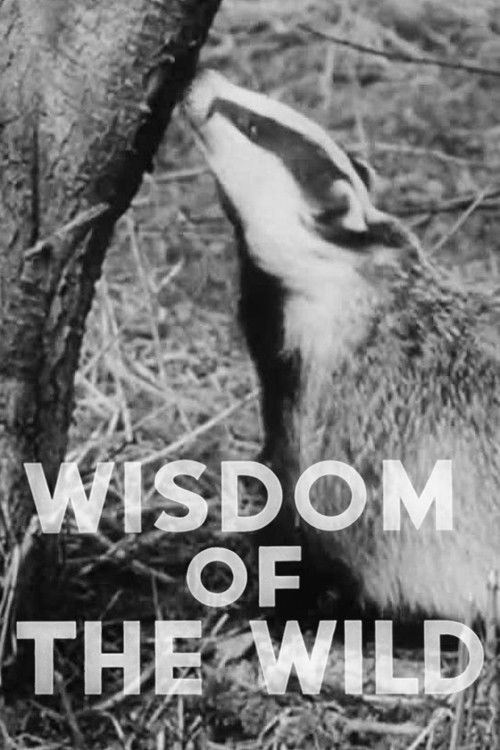 Wisdom of the Wild (1940) poster