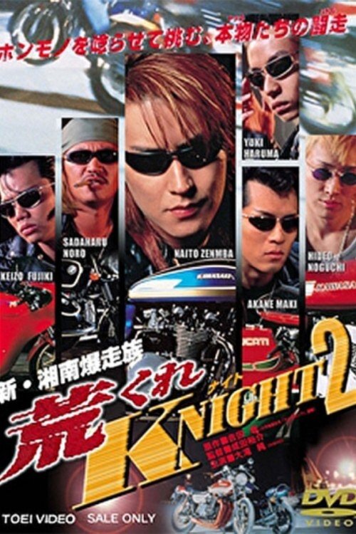 New Shonan Bombing Tribe: Rough KNIGHT 2 (1998) poster