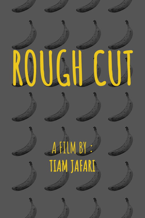 Rough Cut (2025) poster