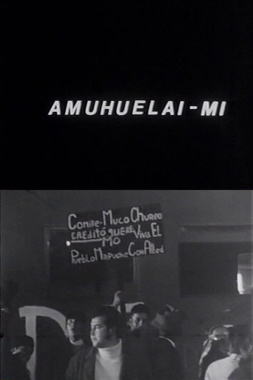 Amuhuelai-mi (1971) poster