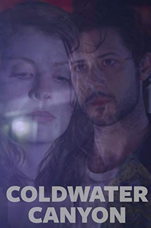Coldwater Canyon (2016) poster