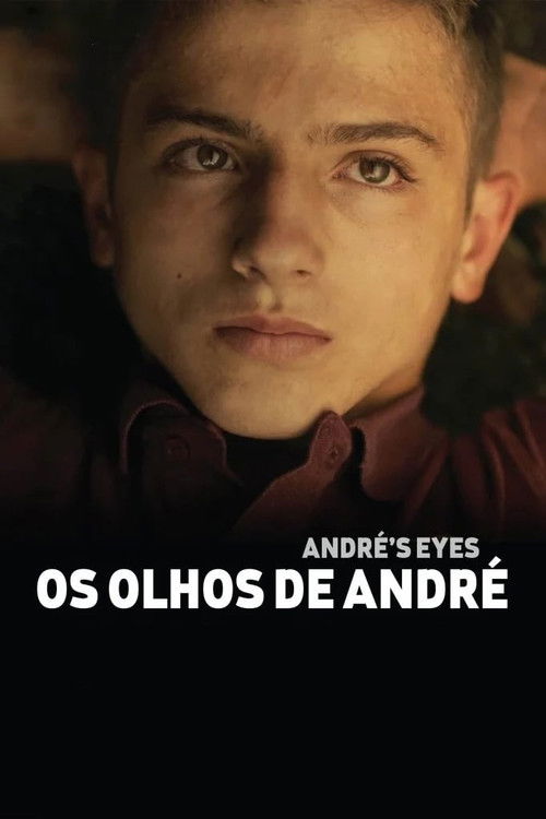 Os olhos de André (2015) poster