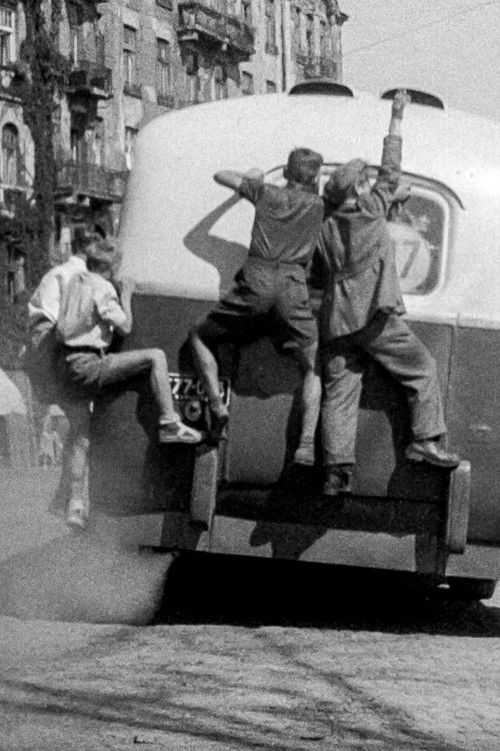 Are You Amongst Them? (1954) poster