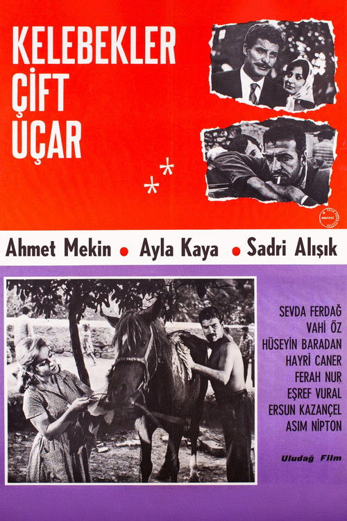 Kelebekler Çift Uçar (1964) poster