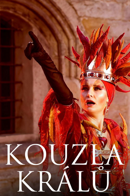 Kouzla králů (2008) poster