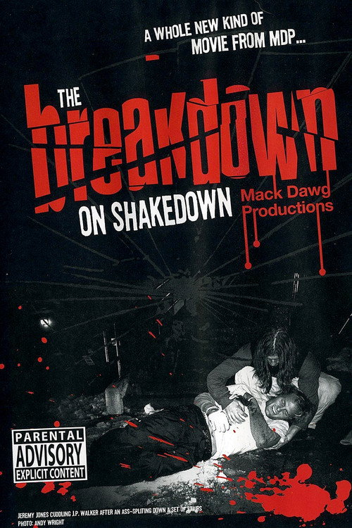 The Breakdown on Shakedown (2003) poster