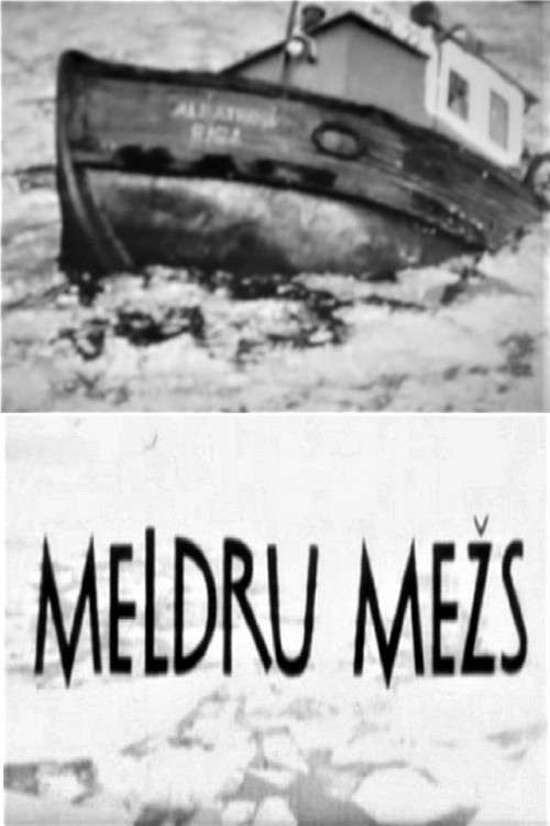 Meldru mežs (1971) poster