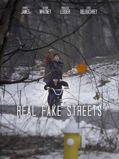Real Fake Streets (2025) poster