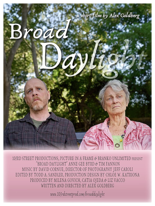 Broad Daylight (2024) poster