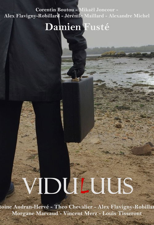 ViduLuus (2024) poster