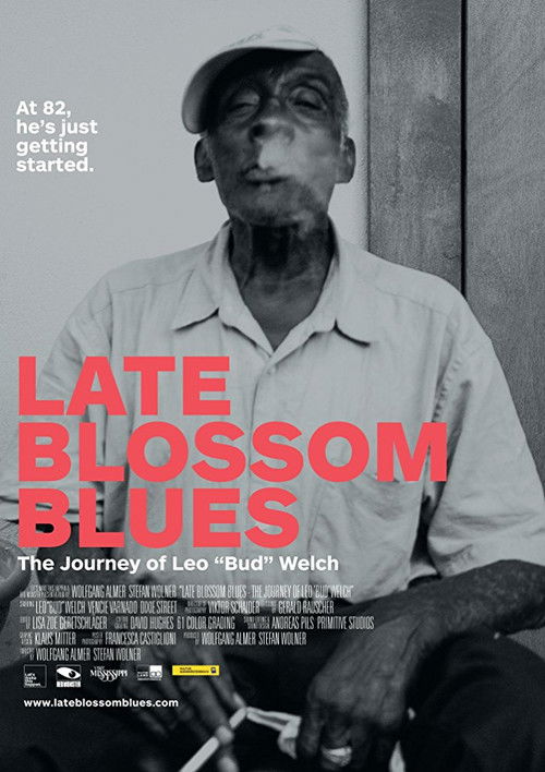 Late Blossom Blues (2017) poster