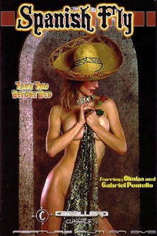 Malisa, Elisa et le taureau (1985) poster