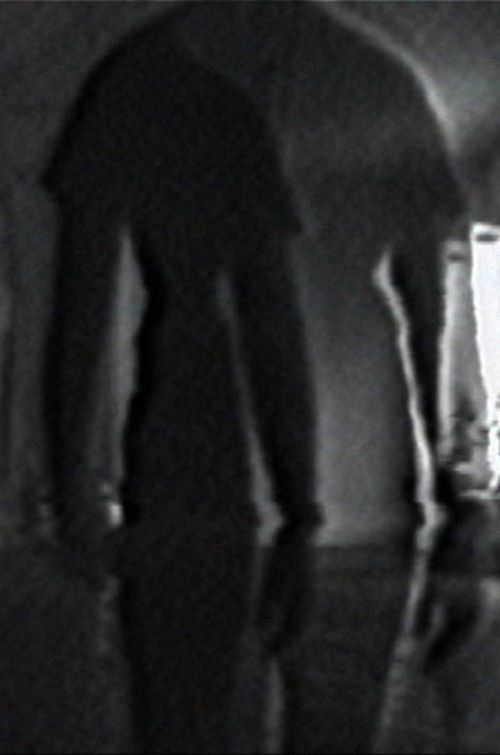 Double Vision (1971) poster