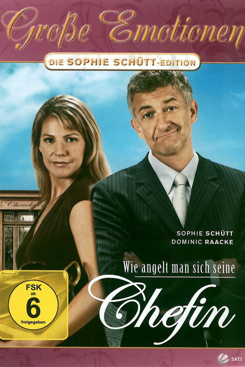 Wie angelt man sich seine Chefin (2007) poster