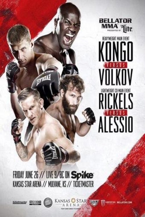 Bellator 139: Kongo vs. Volkov (2015) poster