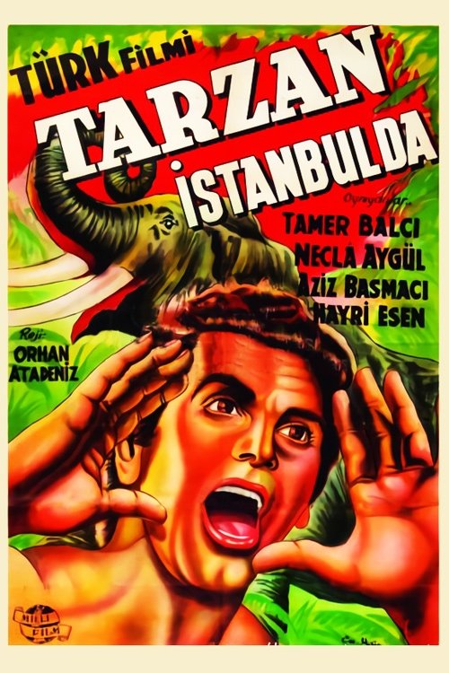 Tarzan in Istanbul (1952) poster