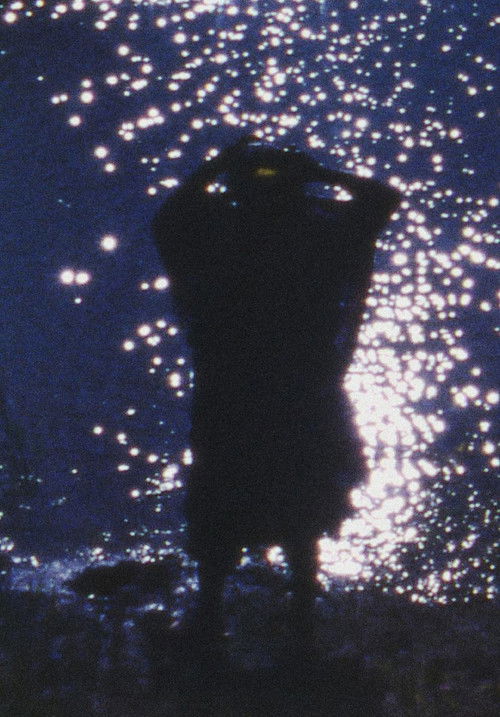 Woman with Flowers (2011) poster