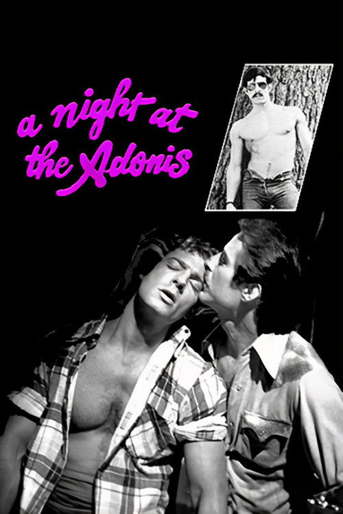 A Night at the Adonis (1978) poster