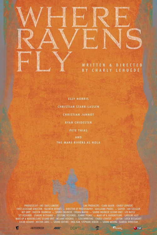 Where Ravens Fly (2023) poster