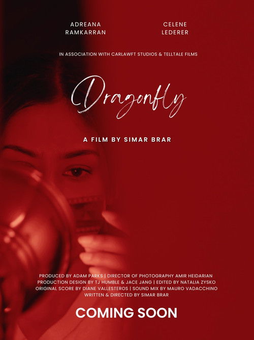 Dragonfly (2023) poster