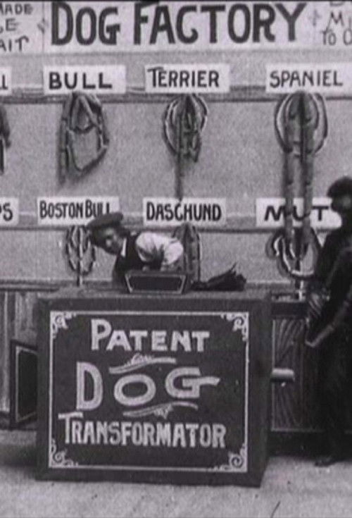 Dog Factory (1904) poster