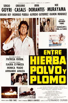 Entre Hierba, Polvo y Plomo (1984) poster