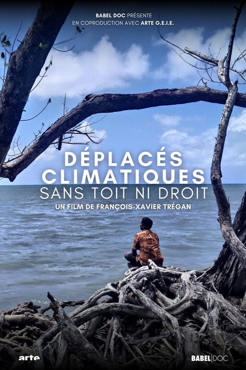 Déplacés climatiques : sans toit ni droit (2024) poster