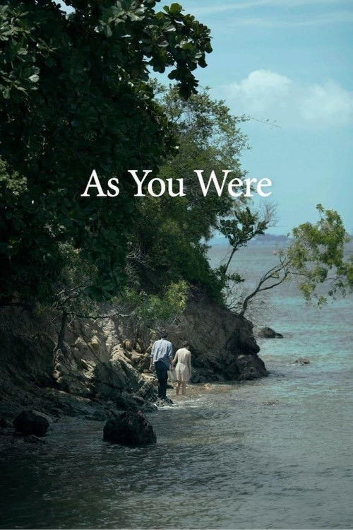 As You Were (2014) poster