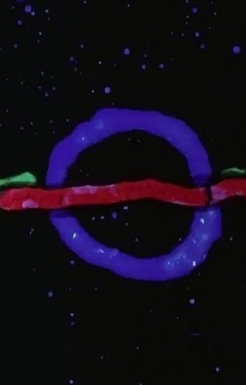 Twilight (2019) poster