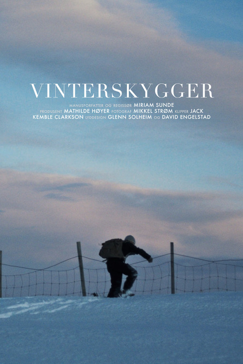 Winter Shadows (2022) poster