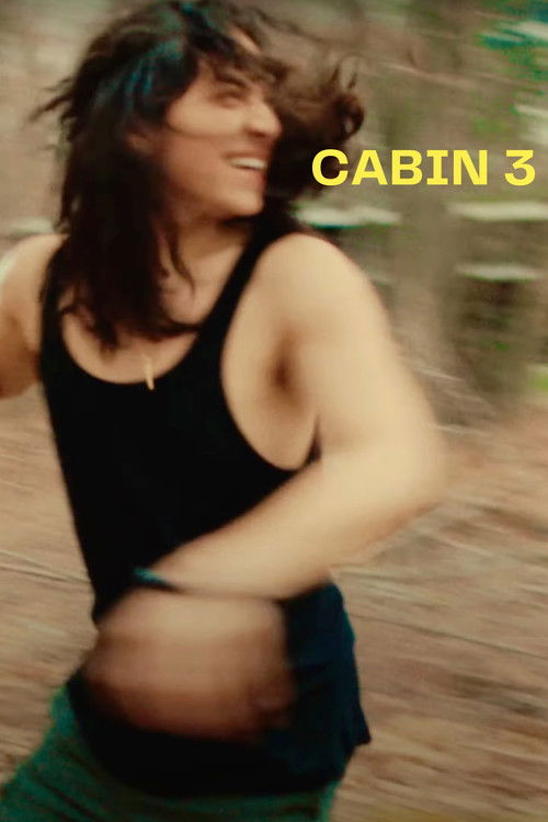 CABIN 3 poster