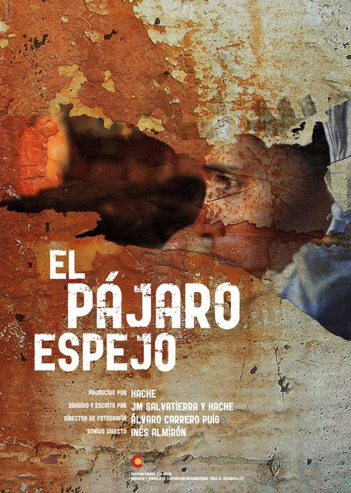 The mirror bird (2010) poster