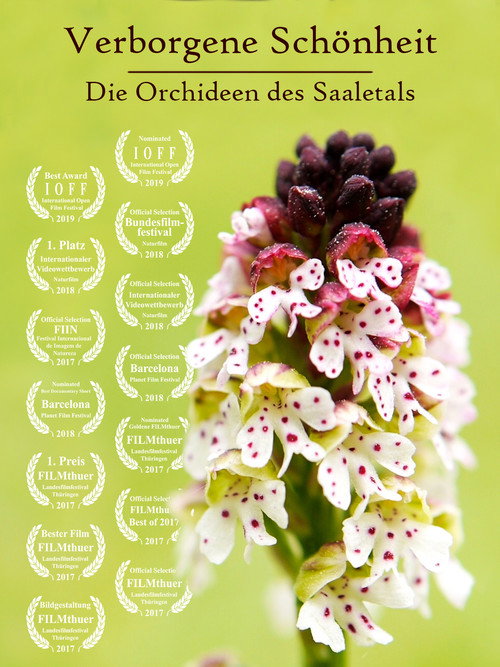 Hidden Beauty - The Orchids of the Saale Valley (2017) poster