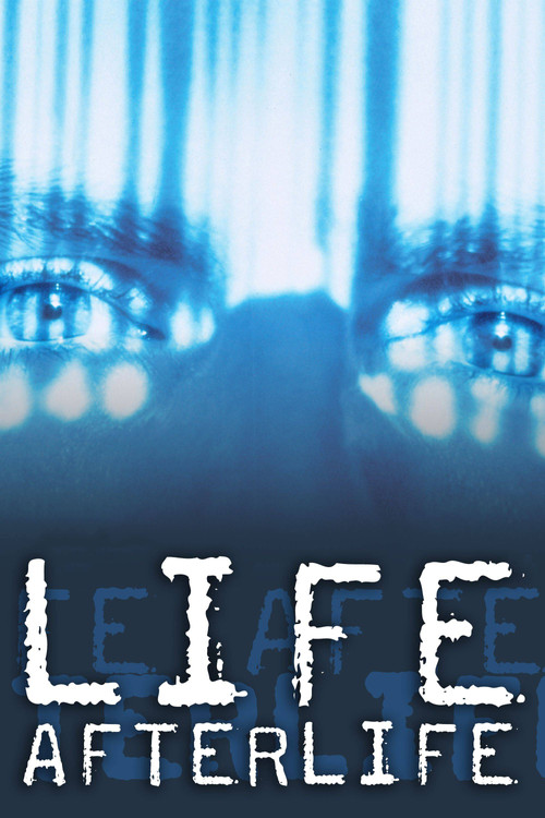 America Undercover: Life Afterlife (2000) poster