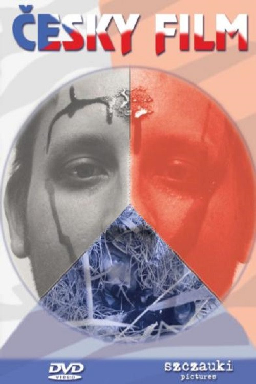 Czeski film (2009) poster