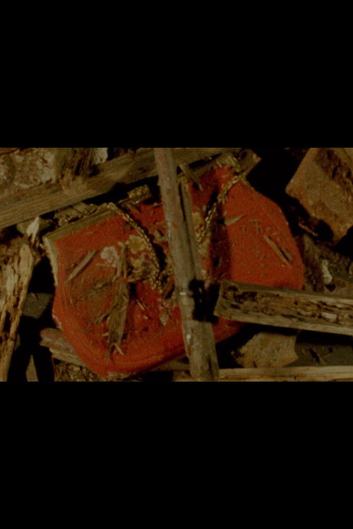 The Red Purse (2017) poster