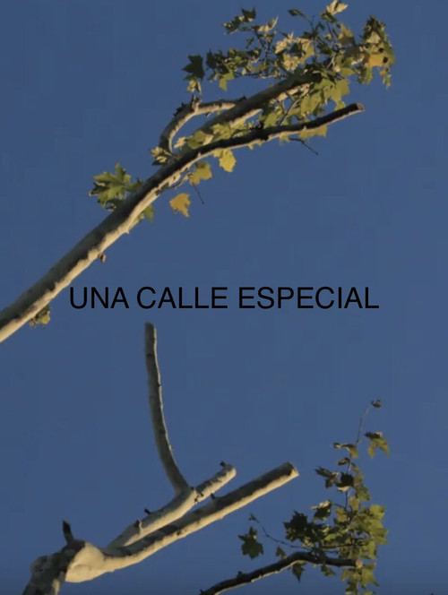 Una Calle Especial (2019) poster