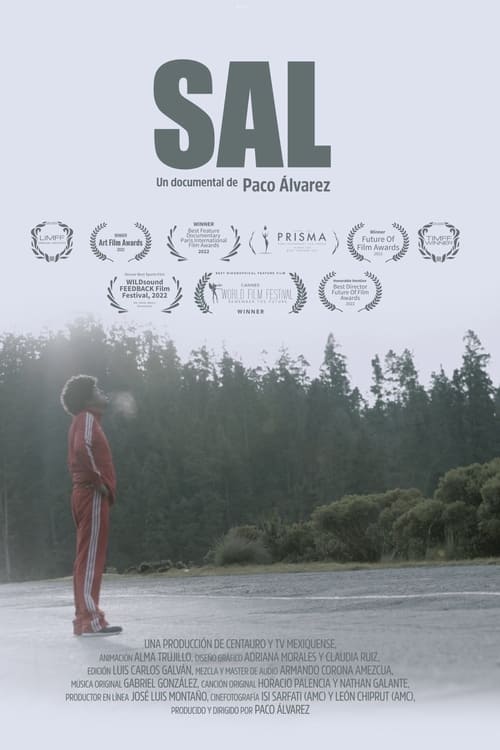 Sal (2022) poster