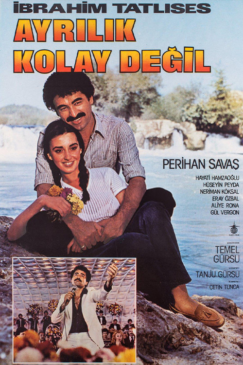 Ayrılık Kolay Değil (1980) poster